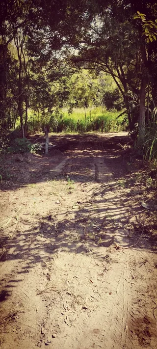 Avance de obra del 28/11/2025 — foto 4